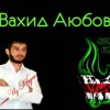 vahid-aubov-busulba-ummatah-nohco-chechen-music