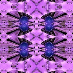 Hawkwind Foghorn