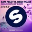 Shadows Of Love (ft. Heidi Rojas) RICKY REMIX