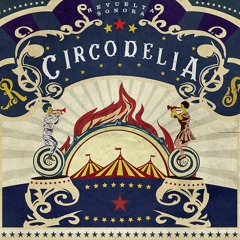 Revuelta Sonora - No me quiero ir