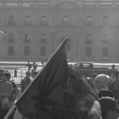 LA FARFANA LOVE - Doble Instinto - Chastafary - Mc Kover - Sack ( Maqueta Under)