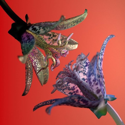 Flume - Take A Chance (ft. Little Dragon)