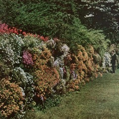 Lighthouse (Parts 1 And 2)