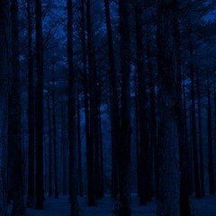In The Middle Of Suburbia At Midnight.
