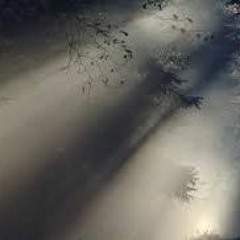 Cuando Todo Sea Gris demo