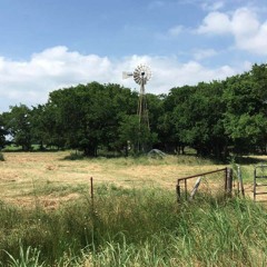 A Northern Summer (demo)