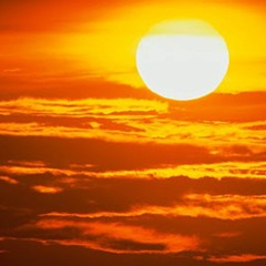 The Professional Mover