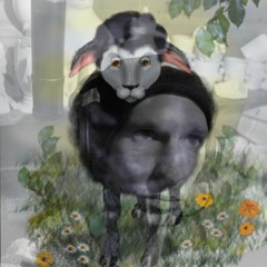 Hu Ba Ba Ba Black Sheep