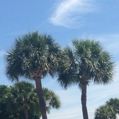 Preston Hardwick- M S - D O S 和 人 性