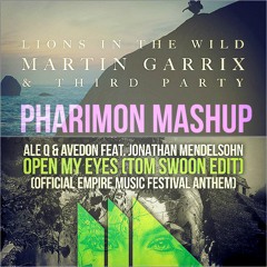 Martin Garrix & Third Party VS Ale Q & Avedon - Lions In The Wild Open My Eyes (PHARIMON MASHUP)