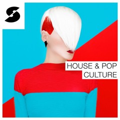 House & Pop Culture Demo