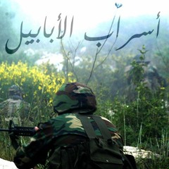 أسراب الأبابيل
