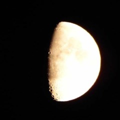 Tim Reed: Four Miniatures for Violin and Cello - No. 2