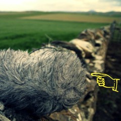 They Lost A Furry Mic