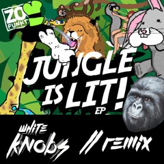 ZooFunktion - It's Lit (White Knobs Remix)