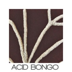 Acid Bongo - FREE DOWNLOAD -