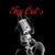 Artwork for Can't You See