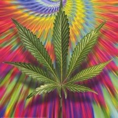 trip