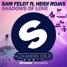 Shadows Of Love (ft. Heidi Rojas) Alexander Orue Remix