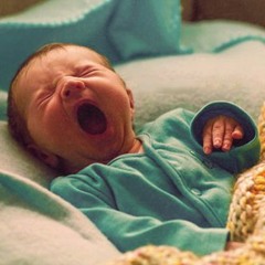 أحكام المولود - الشيخ مسعد أنور