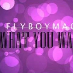 FlyBoyMAC - WHAT YOU WANT