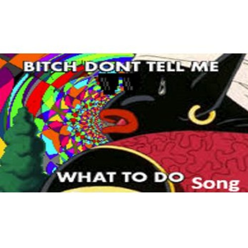 Bitch Don't Tell Me What To Do Song