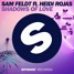 Shadows Of Love (ft. Heidi Rojas) (Acquillo Remix)
