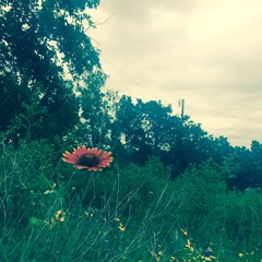 Bring Me Back To Life