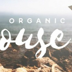 Organic House - Denis Novikov