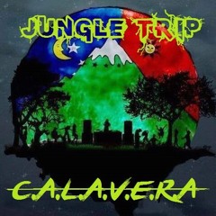 01 C.A.L.A.V.E.R.A - JUNGLE TRIP (Original Mix)