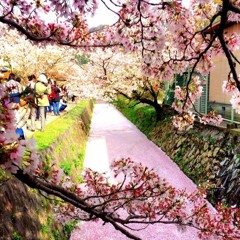 Quiescent Creek Cleanses the Craze [Freestyle] Prod. by IRBUN