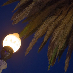 Midnight Climax (Melody 8)