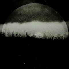 Ambient (Dark)