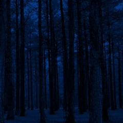 Anxious Silence Does Neither Of Us Any Good.