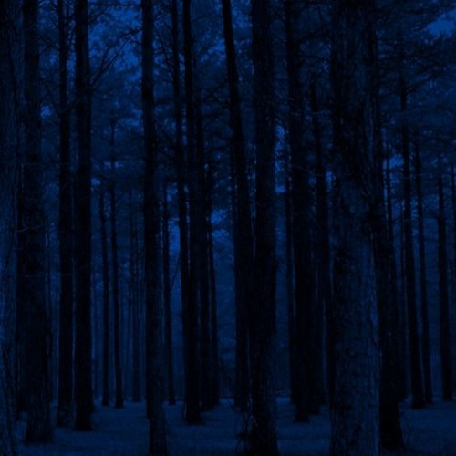 Anxious Silence Does Neither Of Us Any Good.