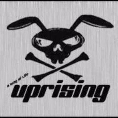 Uprising Vs Dizstruxshon 1.5.11