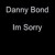 Artwork for I'm Sorry - Danny Bond Remix - Niche