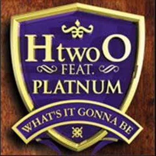 Bassline H20 Ft.. Platinum - -What's It Gonna Be Niche