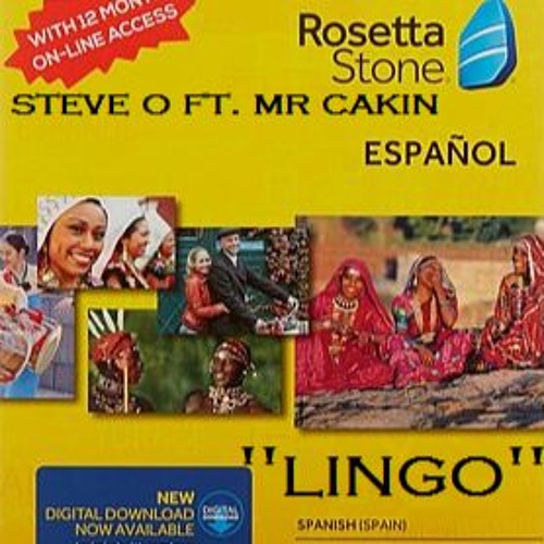 lingo steve lingo steve