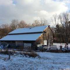 Crass Collective - And So It Begins