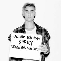 Justin Bieber - Sorry (Walter Brix Personal Tribal Mash - Up Mix 2016)