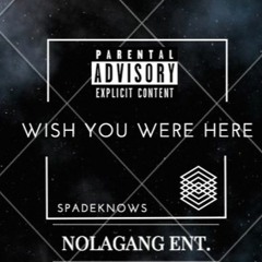Wish You Were Here