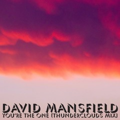 David Mansfield - You're The One (Thunderclouds Mix)