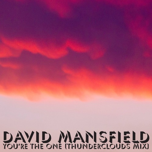 David Mansfield - You're The One (Thunderclouds Mix)