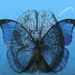 Stream Takumi Kaneko / Unwind snippet by jazzysport | Listen