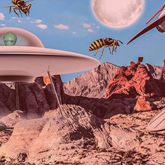 Derdniks Rob The Bank