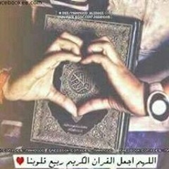 محمود الشحات محمد أنور =سورة يوسف
