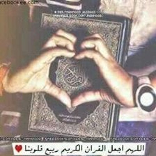 محمود الشحات محمد أنور =سورة يوسف