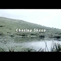 Chasing Sheep - Instrumental