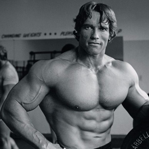 Arnold Schwarzenegger - The Life Of A BodyBuilder